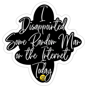 I Disappointed Some Man on the Internet Today Sticker